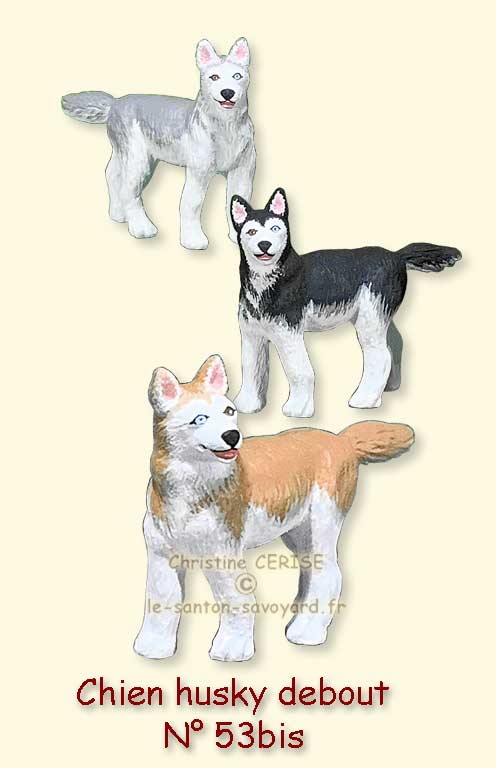 N°53bis chien husky debout